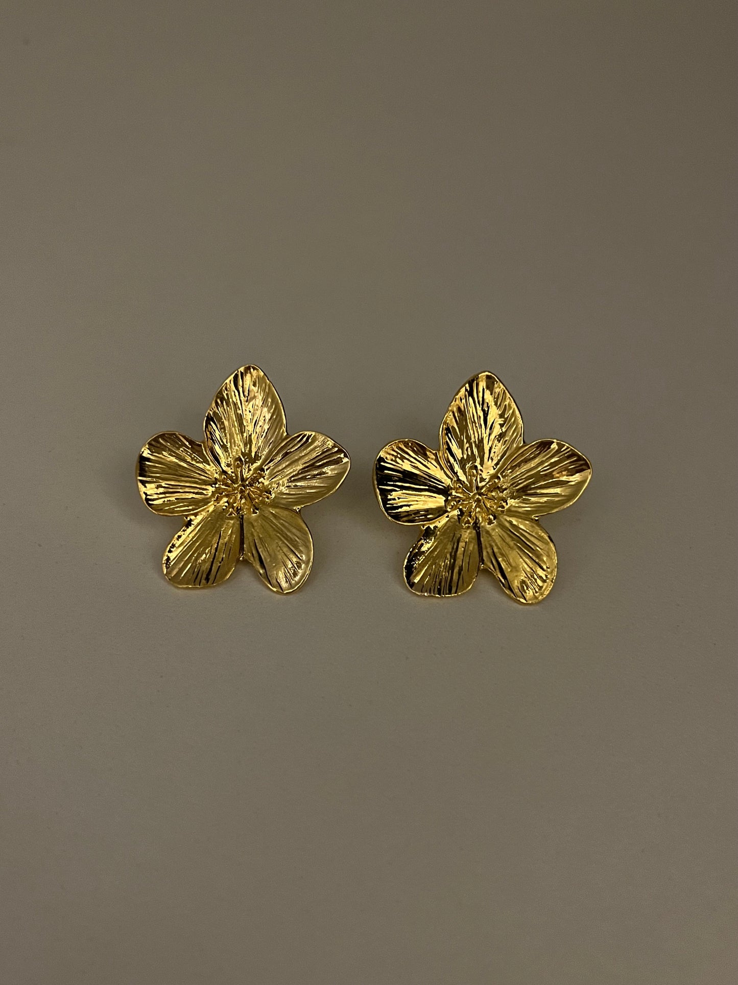 PENDIENTES LAURE