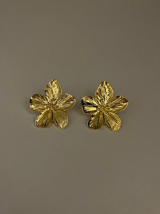 PENDIENTES LAURE