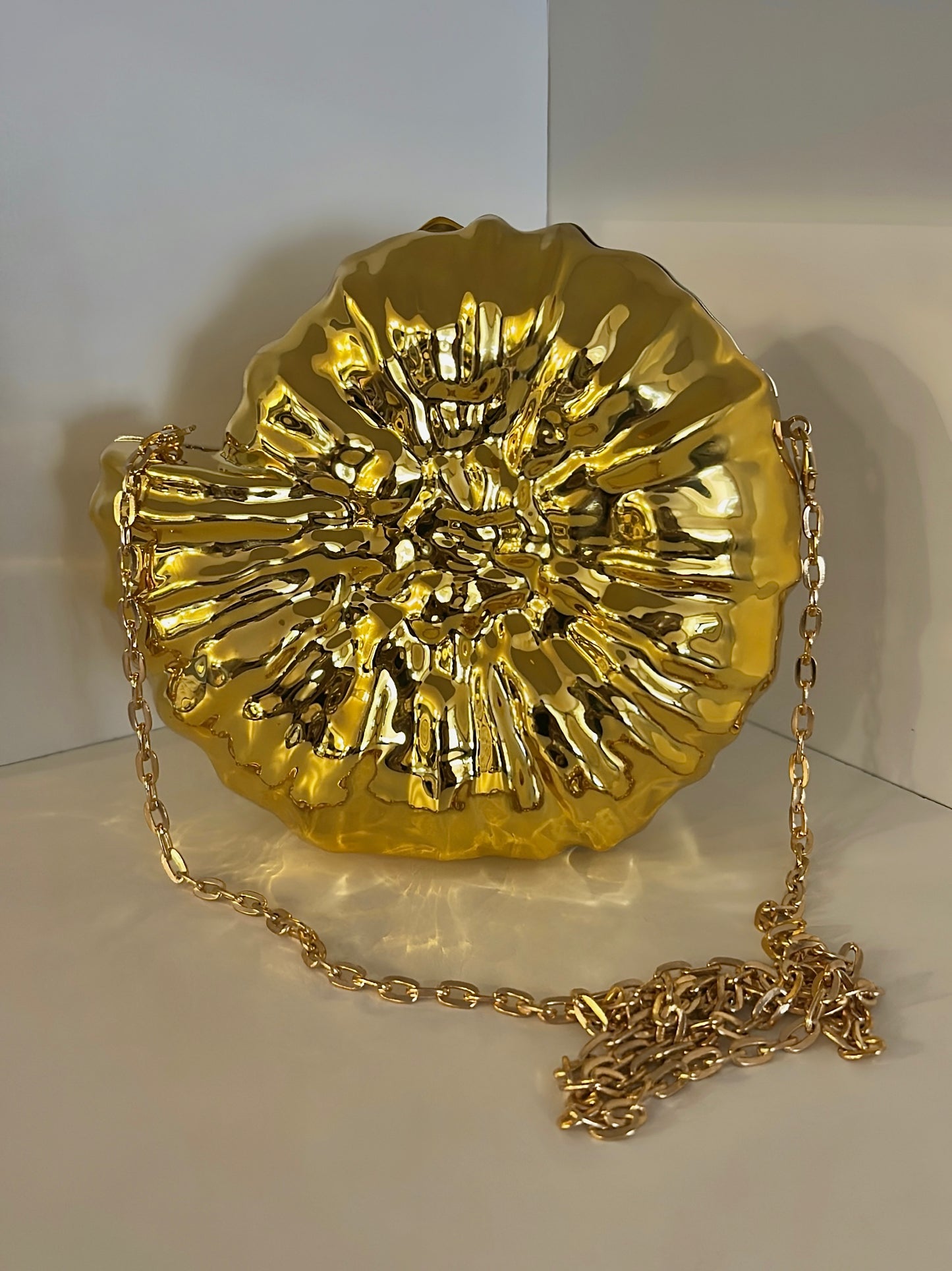 CARTERA CARACOL