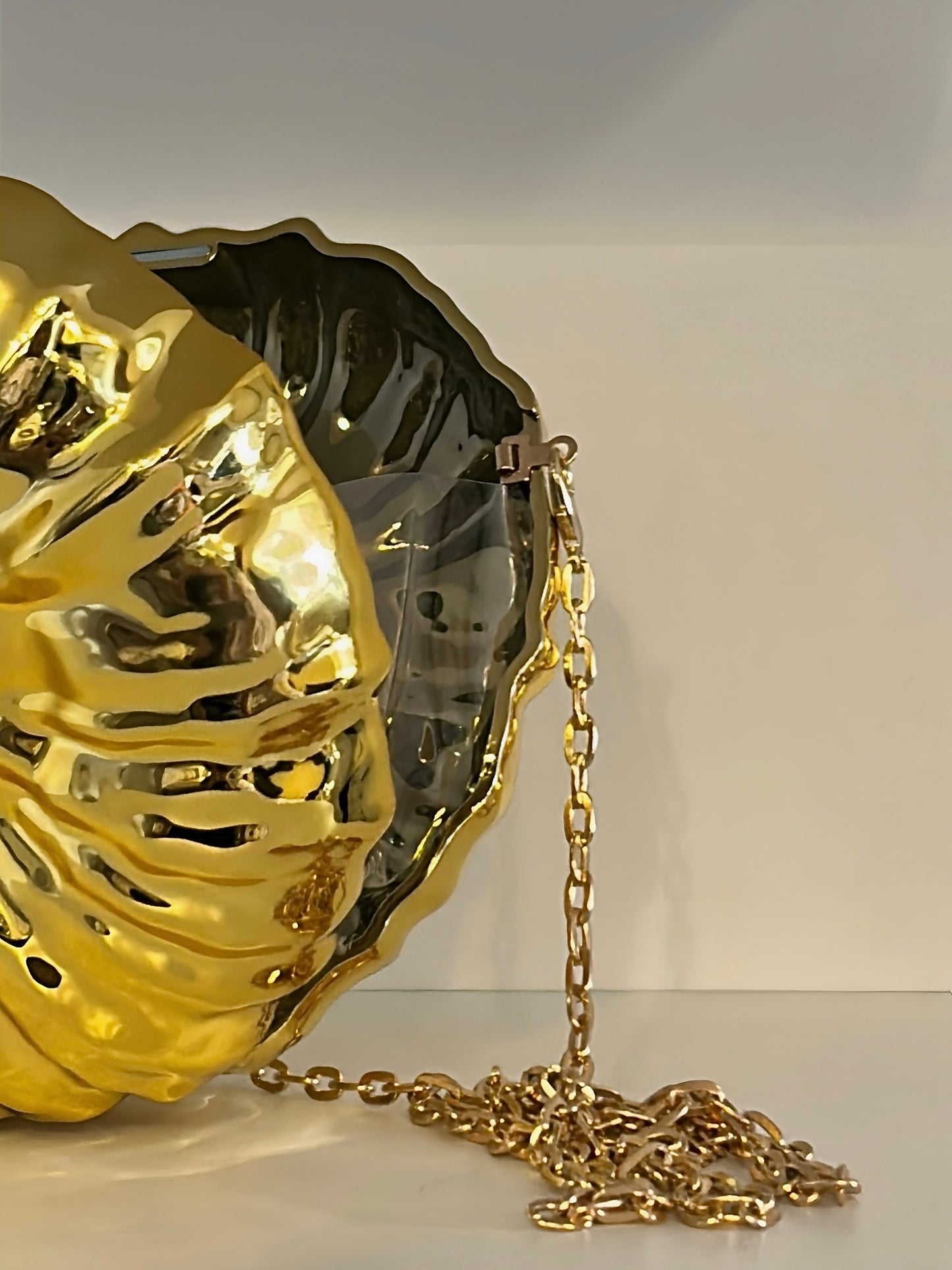 CARTERA CARACOL